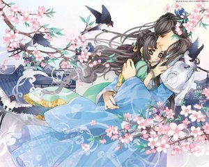 无需登录免费观看
